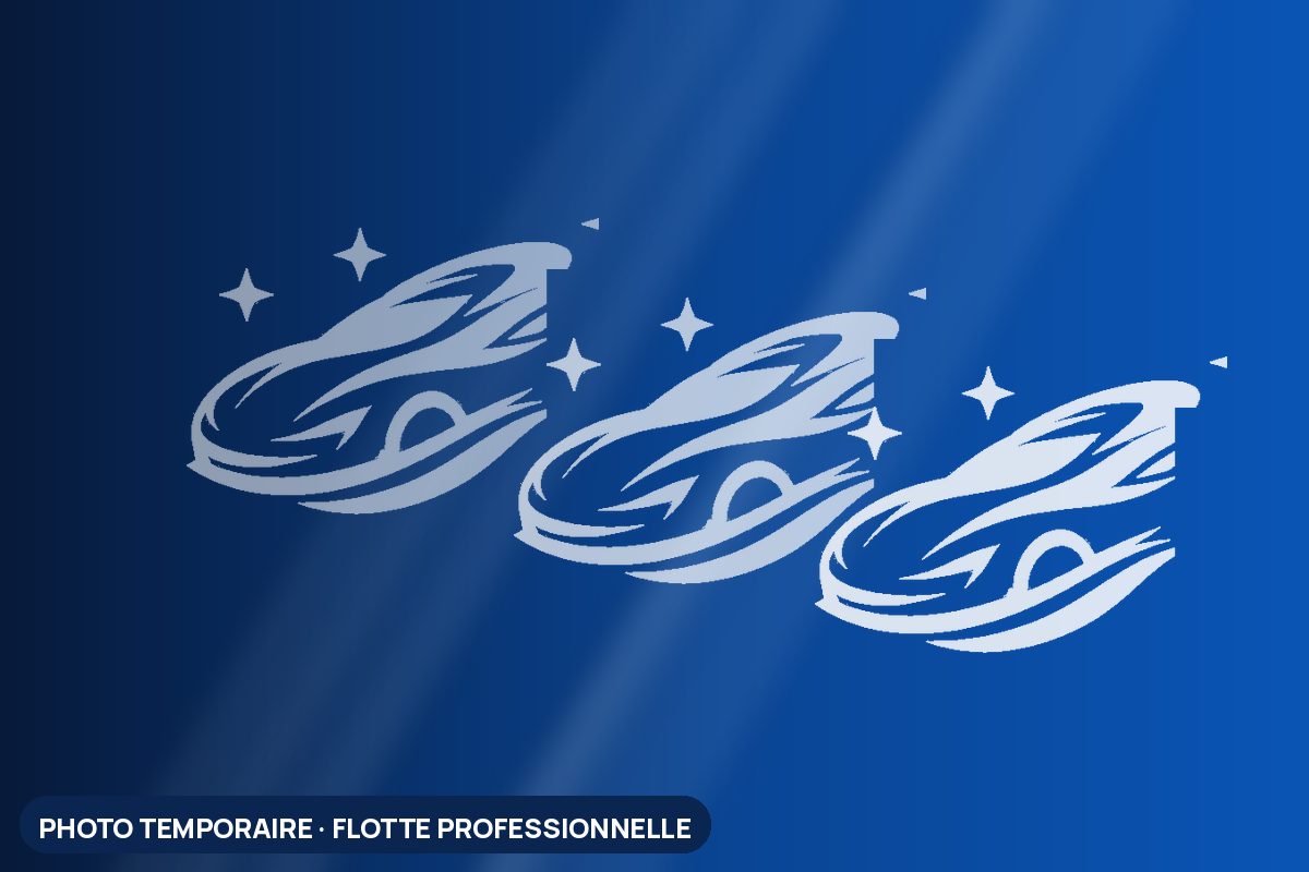Flotte de véhicules professionnels (photo temporaire)
